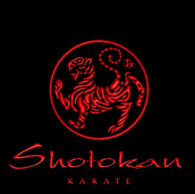 Shotokan Karate Do1